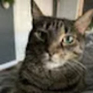 Meet your Posher, Mason